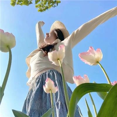 星尘芭蕾舞厅皇后